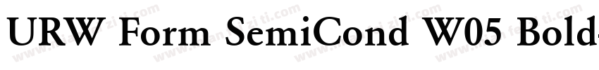 URW Form SemiCond W05 Bold字体转换